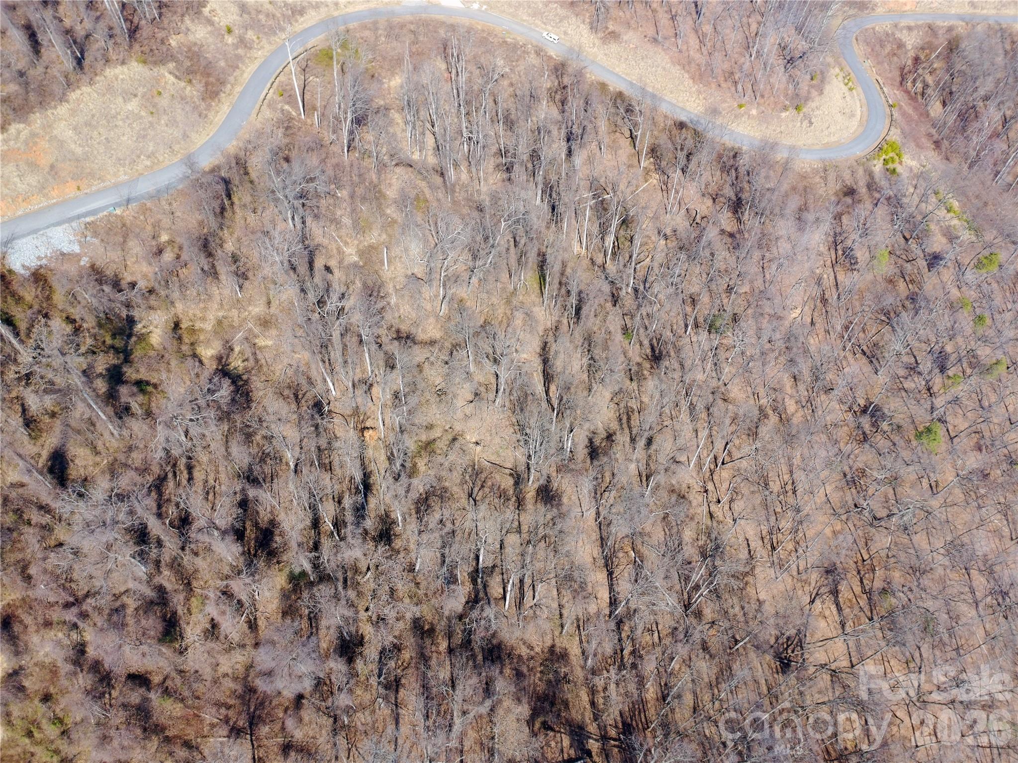 The Summit Of Asheville - Land