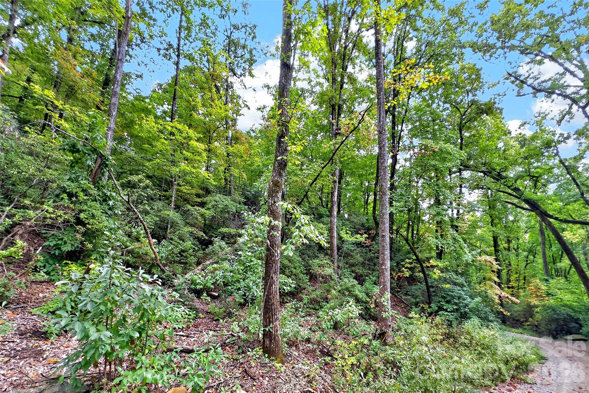 999 Rhododendron Rhododendron Drive 743