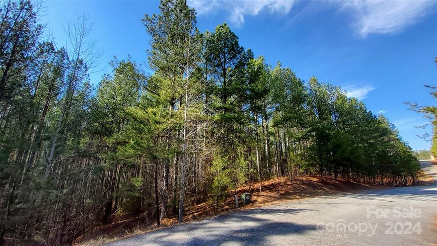 PREMIUM BUILDABLE LOT in Gated Hillcrest Subdivision in Mill Spring, NC.  Lot is 2.69 Acres & located in highly desirable rural gated community that is quaint & reserved.  With mature pines & hardwoods, lot is level & then gently rolls downward to creek at the bottom of lot.  This is a perfect terrain to build a home w/a walk-out basement.  Lot is largest buildable lot in the community.  You will not be able to see your neighbors from this lot, but still have the comfort that you are in a gated neighborhood.  Hillcrest is a very desirable area in the foothills called ISOTHERMAL BELT offering mild 4 seasons.  This area offers a tranquil lifestyle & centrally located to grocery store, gas station, Lake Lure public beach, Chimney Rock Village, shopping, restaurants, swimming, boating, hiking, zip lining, horseback riding & golfing.  The Tryon International Equestrian Center is a 20 minute drive, for the equestrian enthusiasts.  You will fall in love with this property and neighborhood.