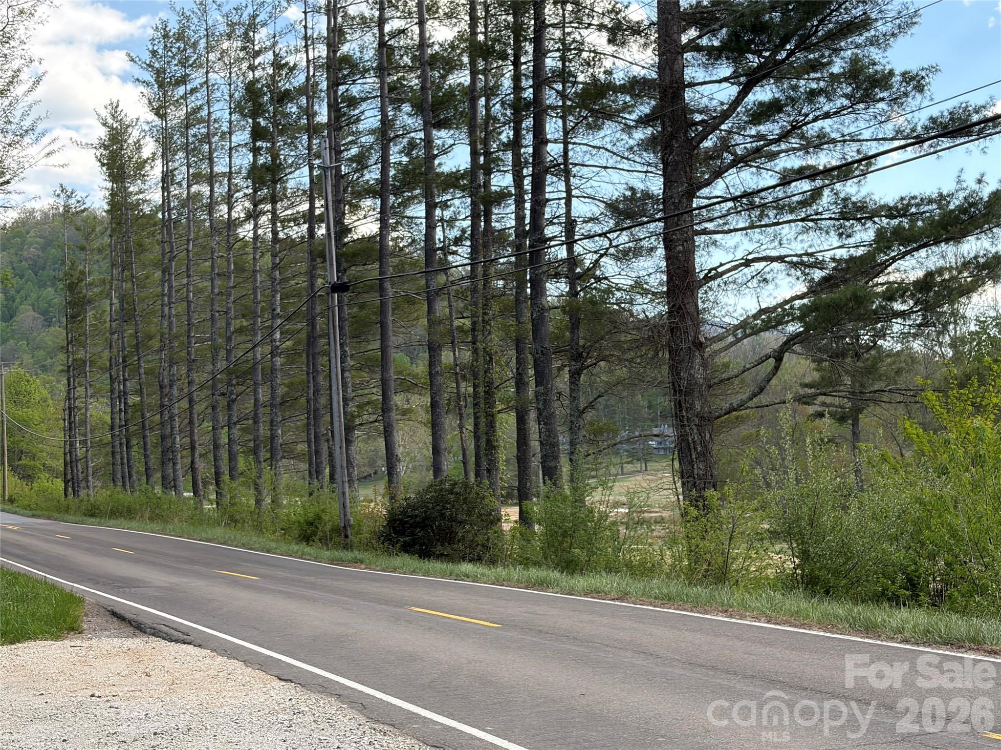 000 Mt. Mitchell Drive