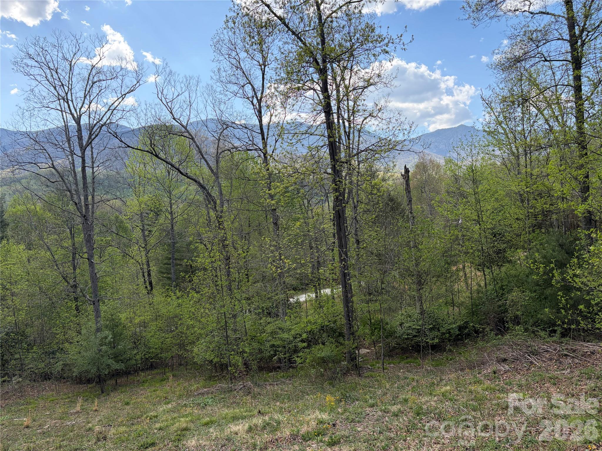 000 Mt. Mitchell Drive