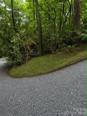 26 PLEASANT HILL DR, BREVARD, NC 28712 - Image 02f7ffb83ae2349a755da710da0b1a3c/2382295005