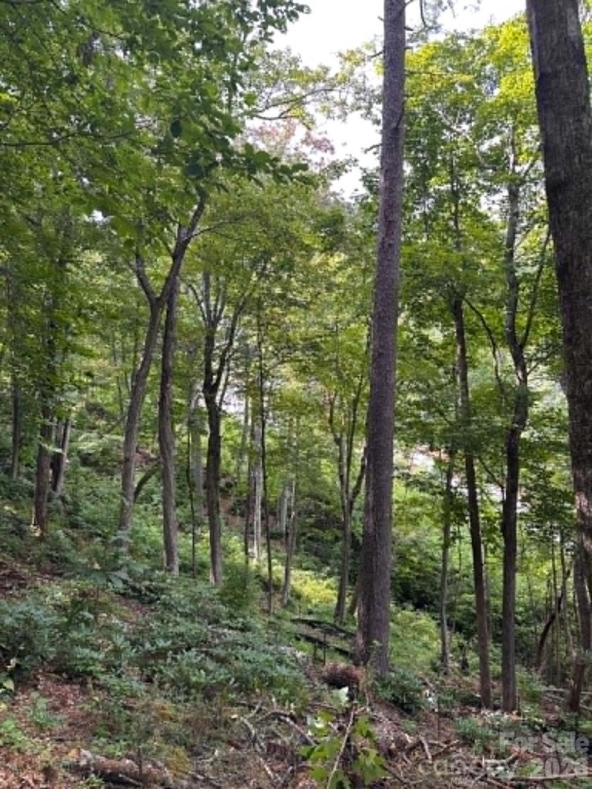 Lot 26 Pleasant View Drive - Photo 4