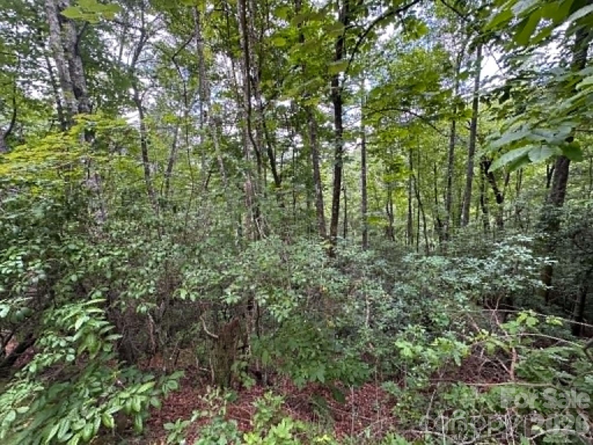 Lot 26 Pleasant View Drive - Photo 3