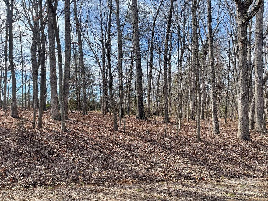 Great lot in sought after Summerfield location! Zoned Summerfield Elementary, Northern middle and high school!