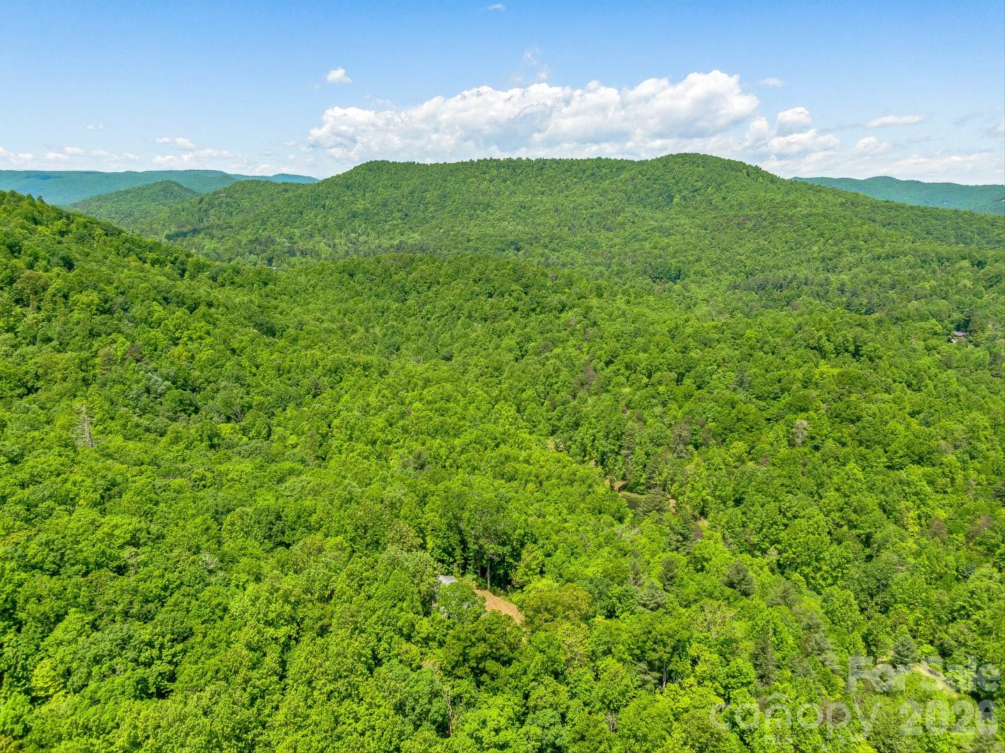 336A S Bobs Creek Road