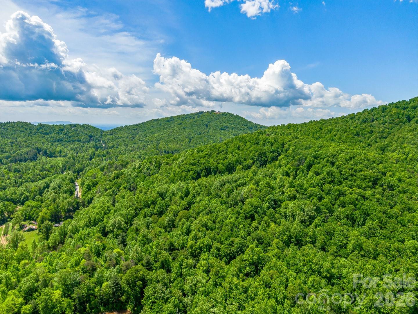 336A S Bobs Creek Road