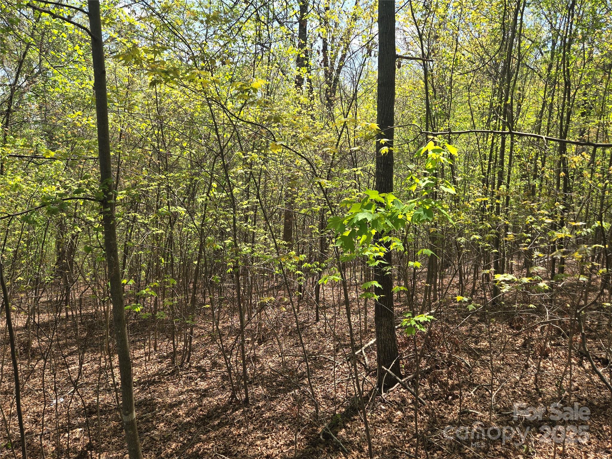 Lot 14 Back Hollow Drive