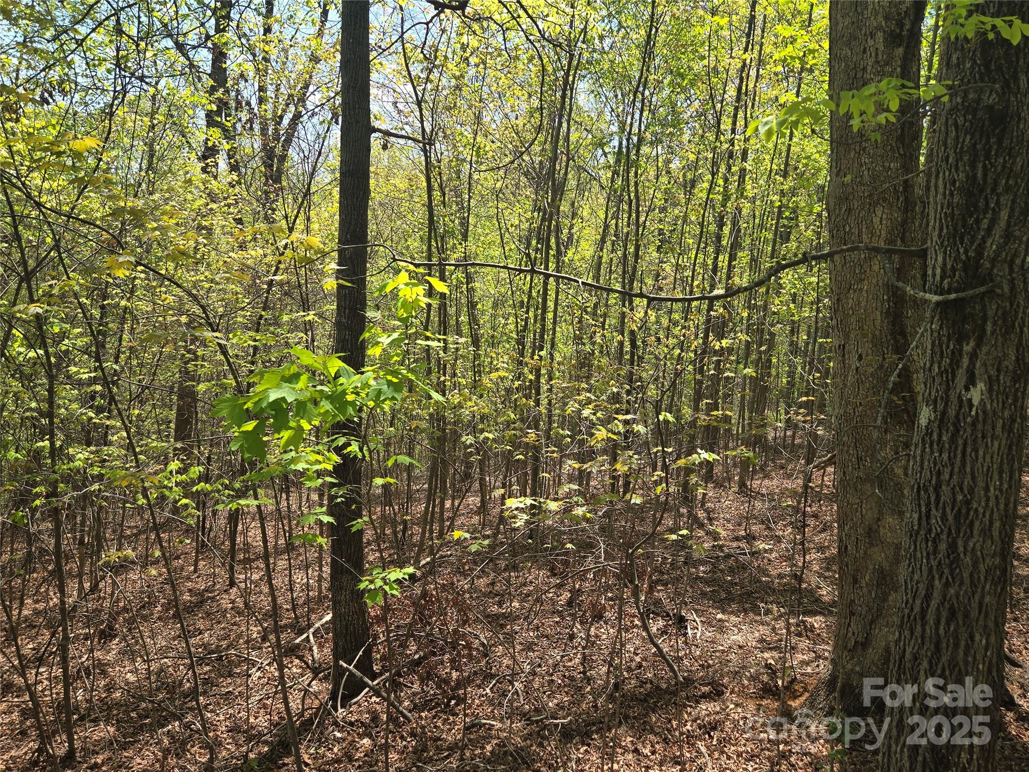 Lot 14 Back Hollow Drive