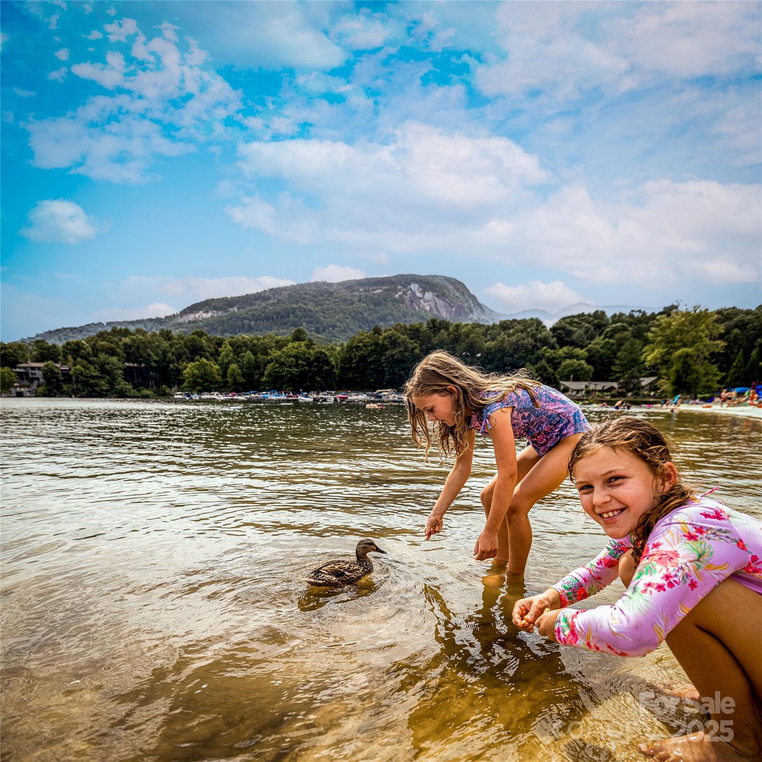 Rumbling Bald on Lake Lure - Land