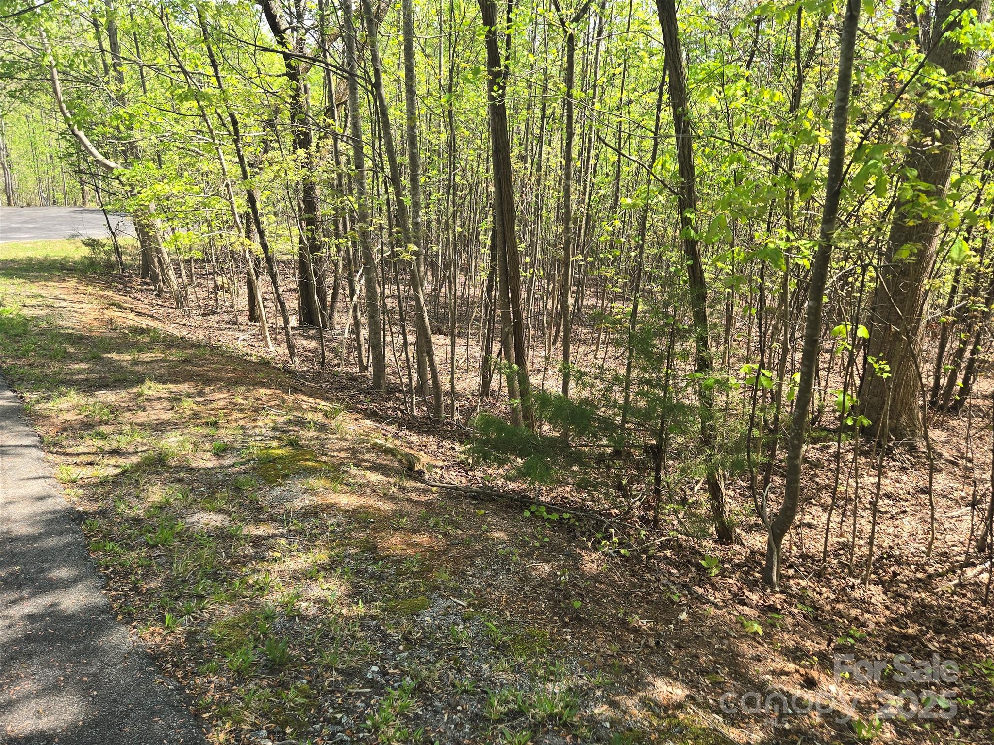 Lot 14 Back Hollow Drive
