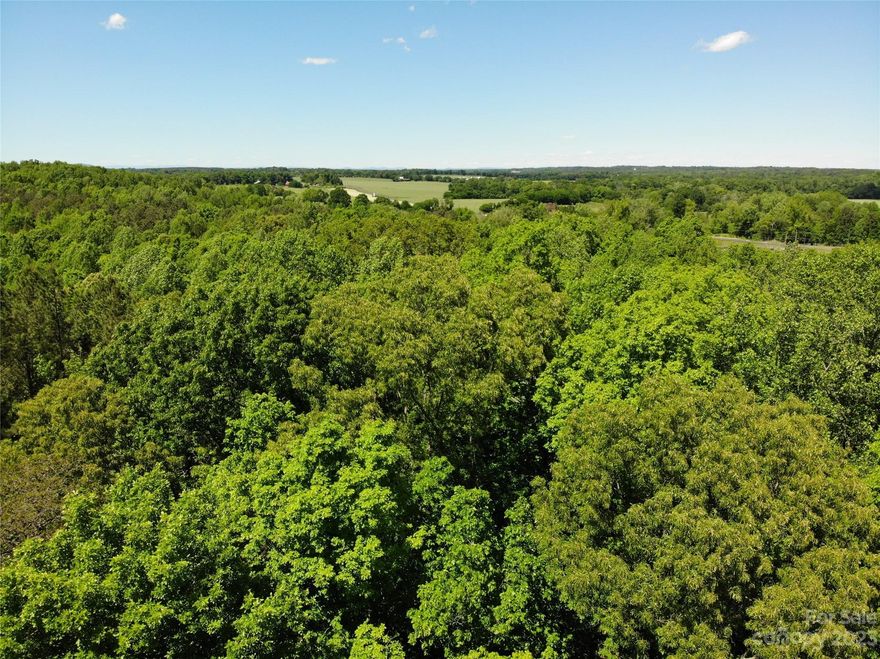 Now priced below tax value!  Private lot in the Magna Vista subdivision.  There is a trail that starts near the right front of the property and goes into a creek bed, then back up.  County zoning says no mobile homes or multifamily homes.  Soil scientist who did the perc test said lot would need septic pump at an estimated cost of 30K.  Lot 167 that borders to the left is also for sale.