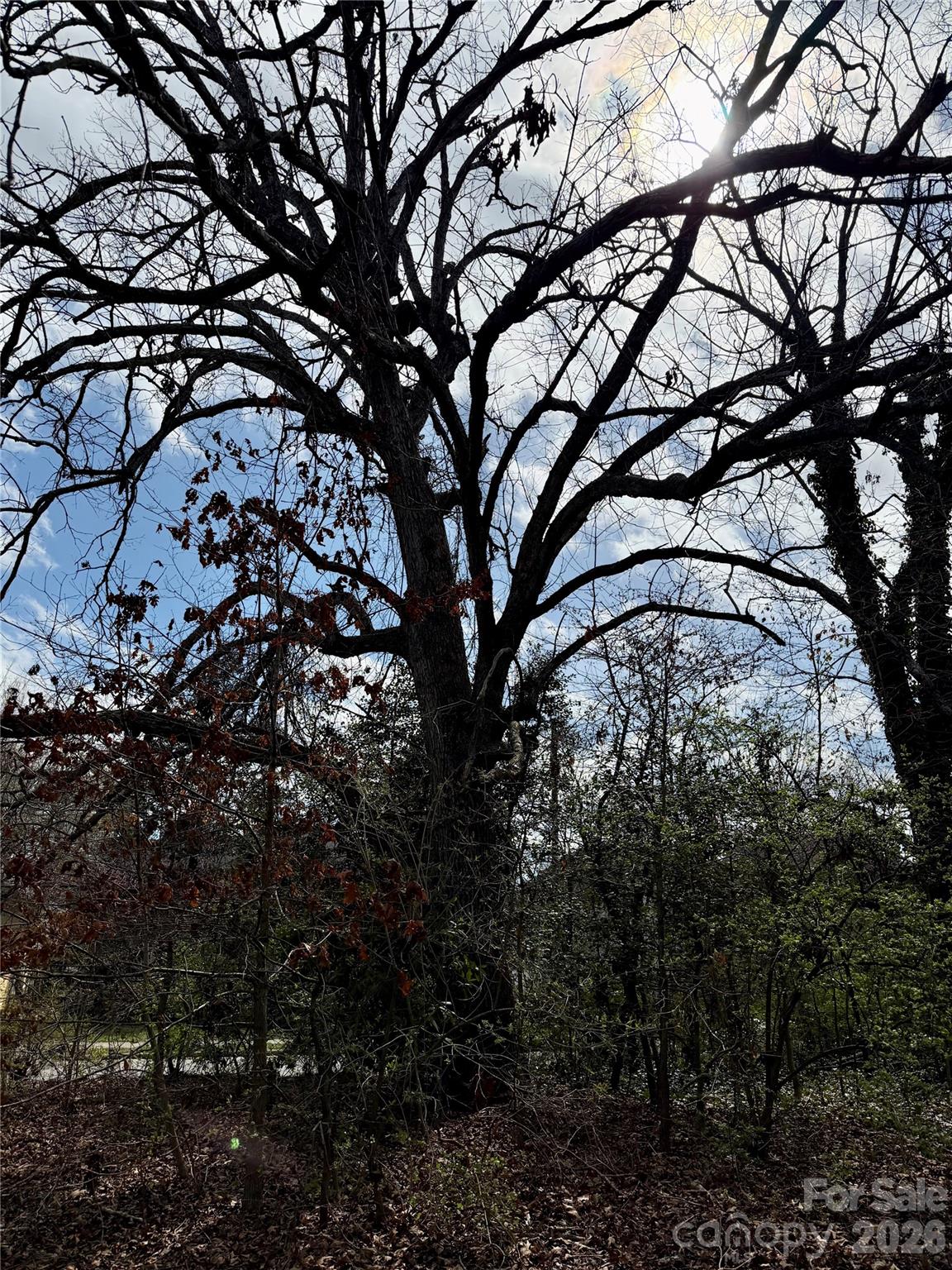 Edgewood Place - Land