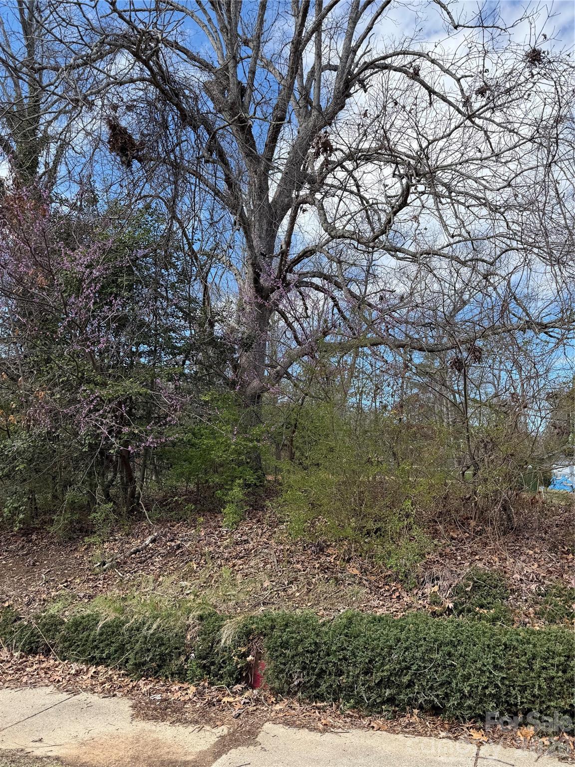 Edgewood Place - Land