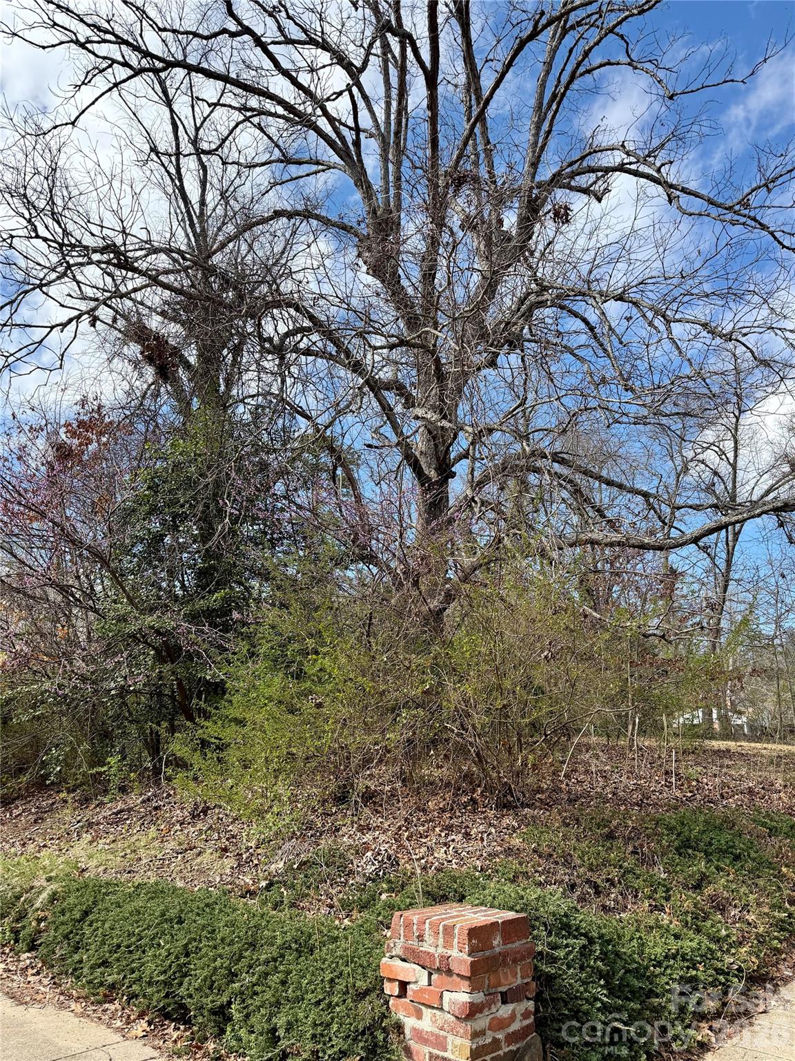 Edgewood Place - Land