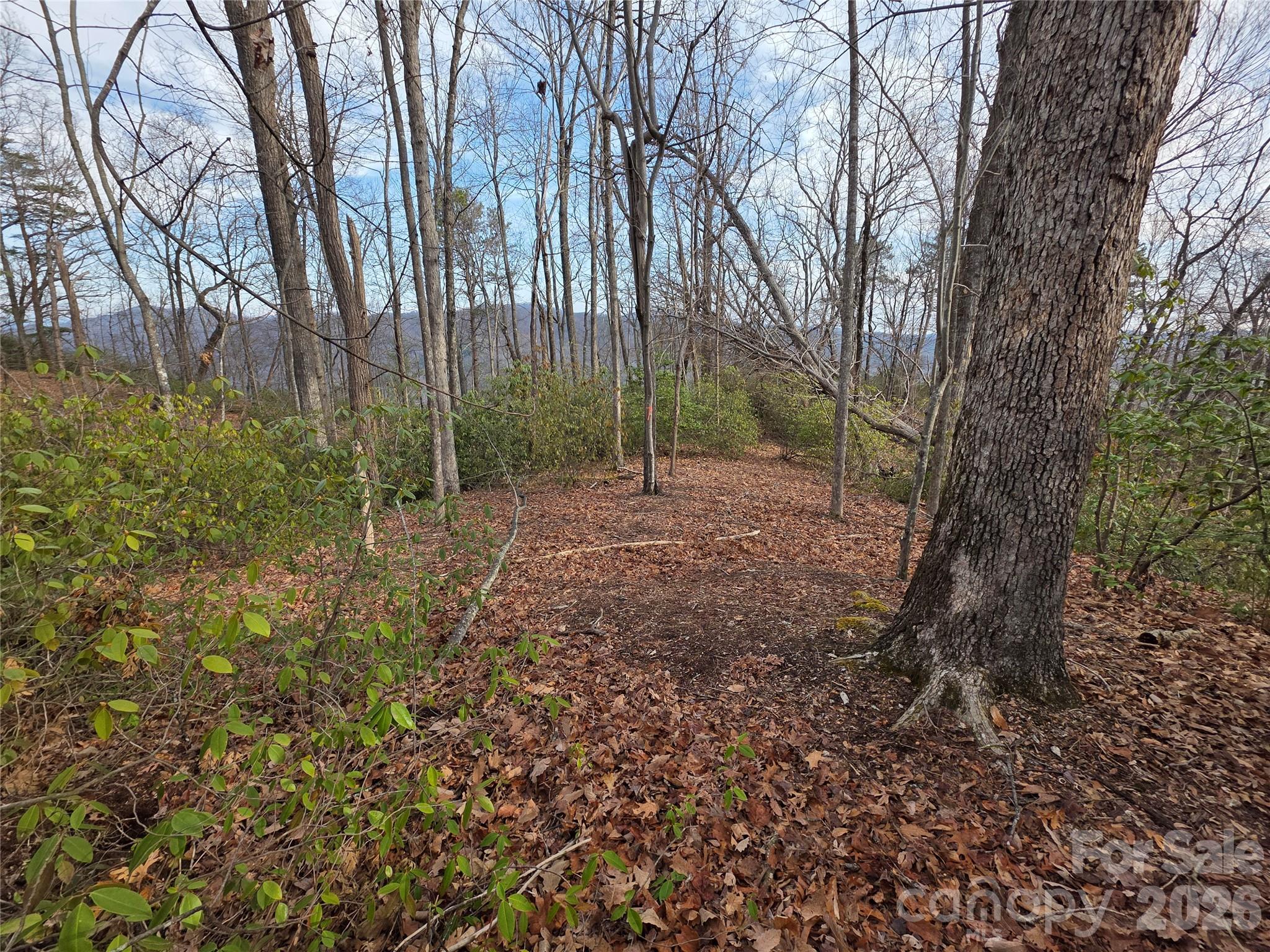Lot 45 Ridgecrest Drive