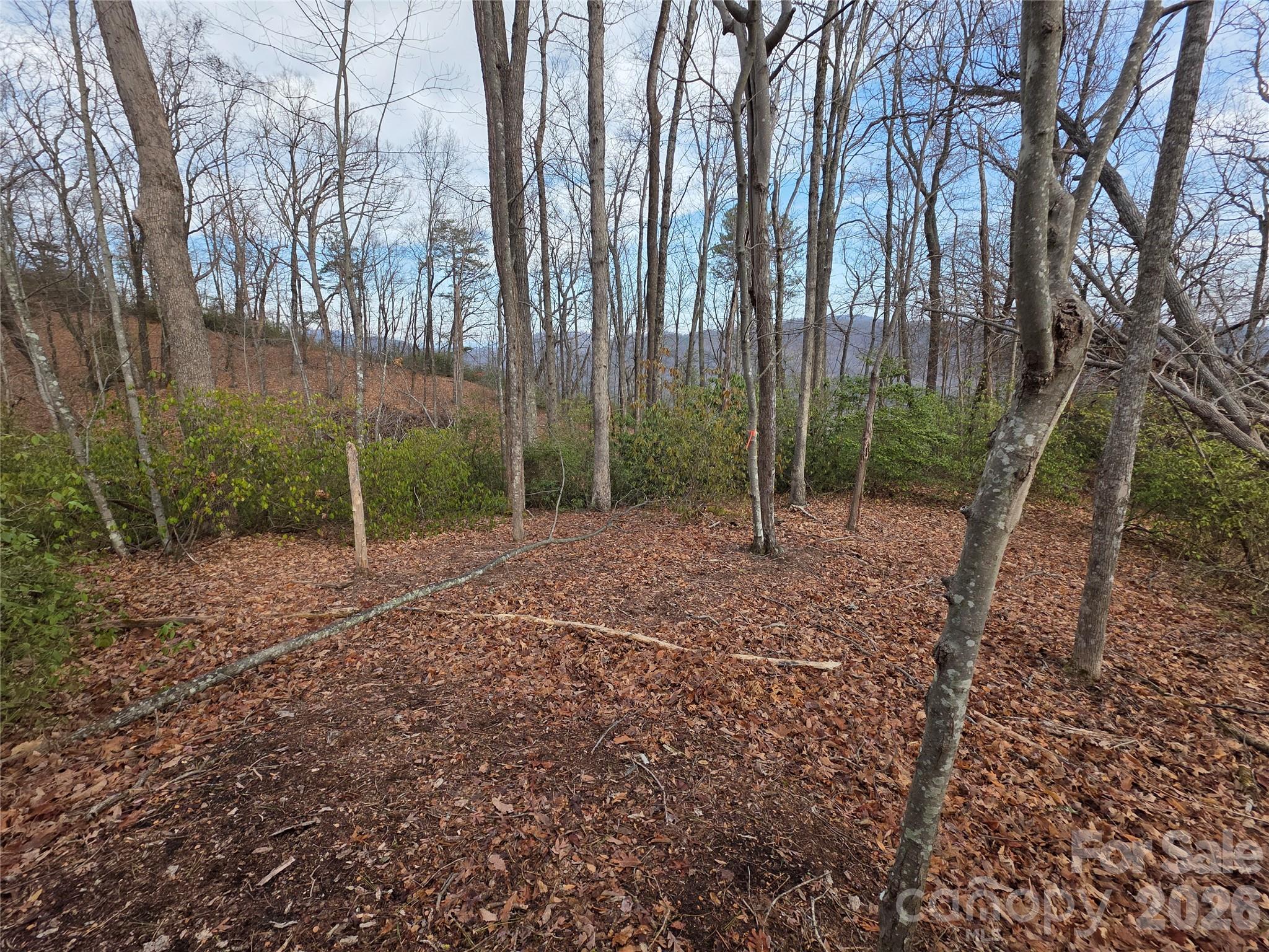 Lot 45 Ridgecrest Drive