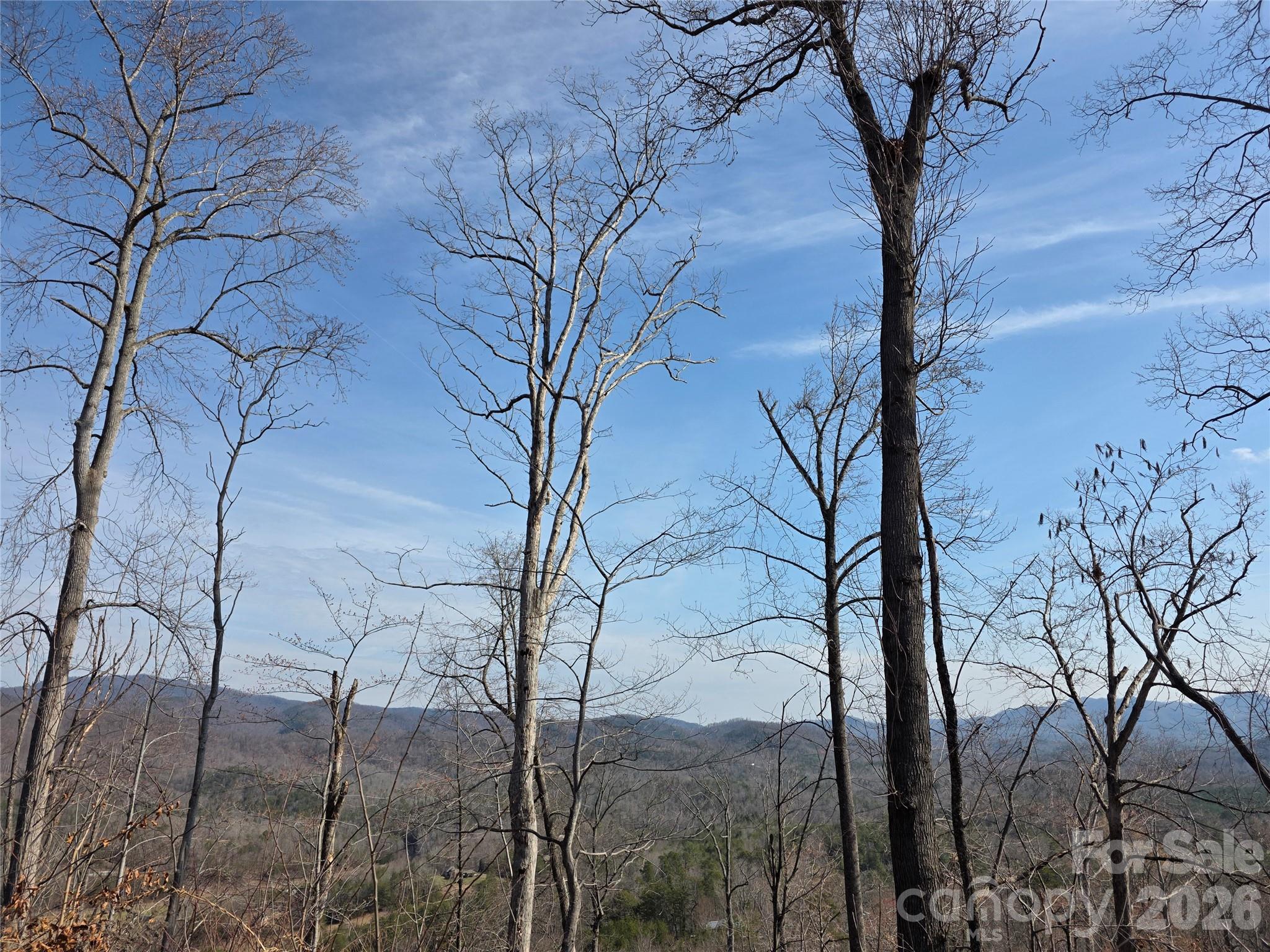 Lot 45 Ridgecrest Drive