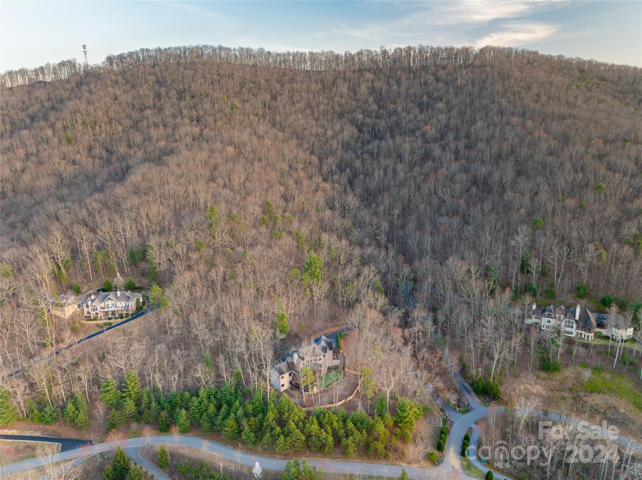 Biltmore Lake - Residential