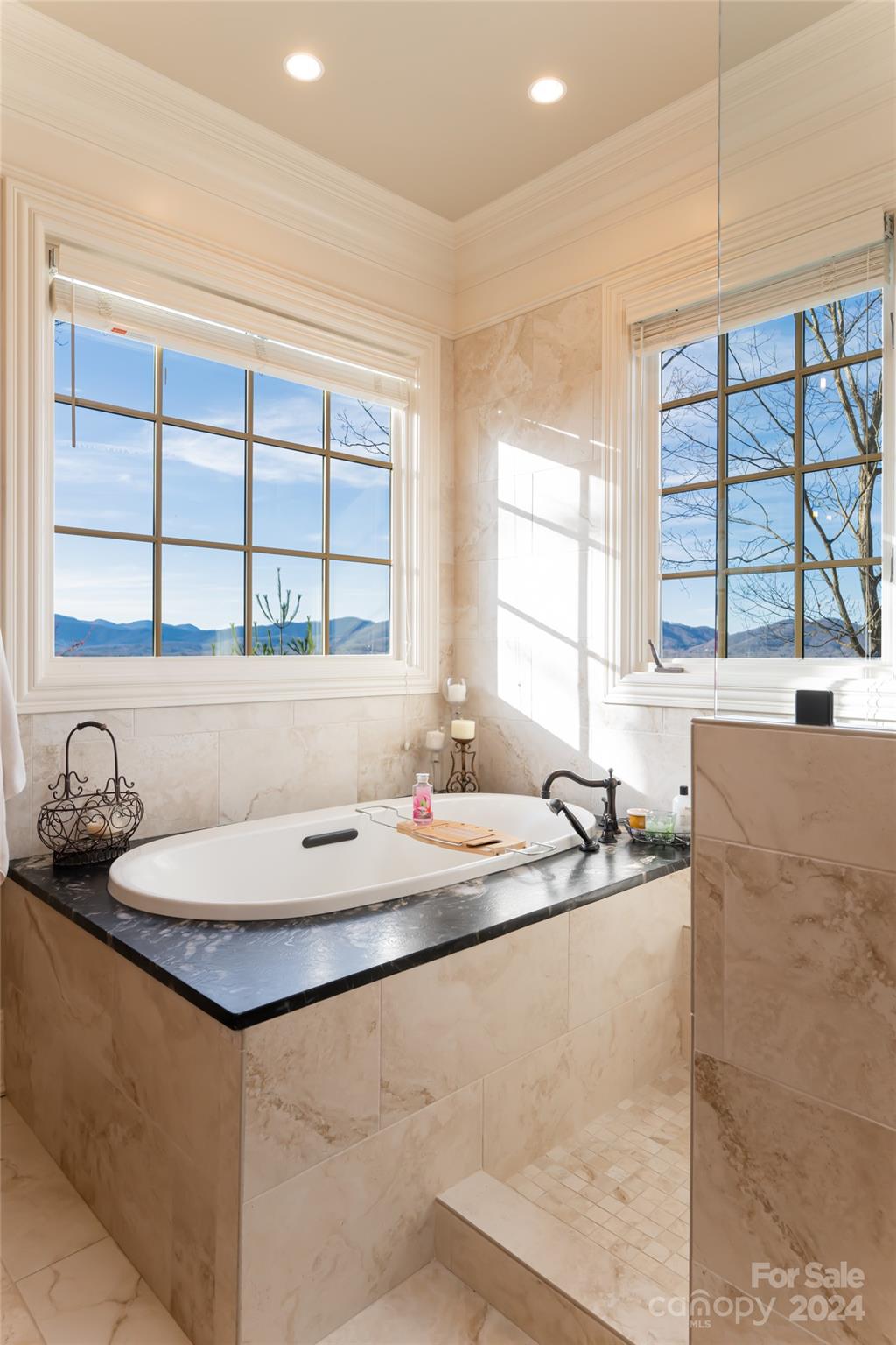 Biltmore Lake - Residential