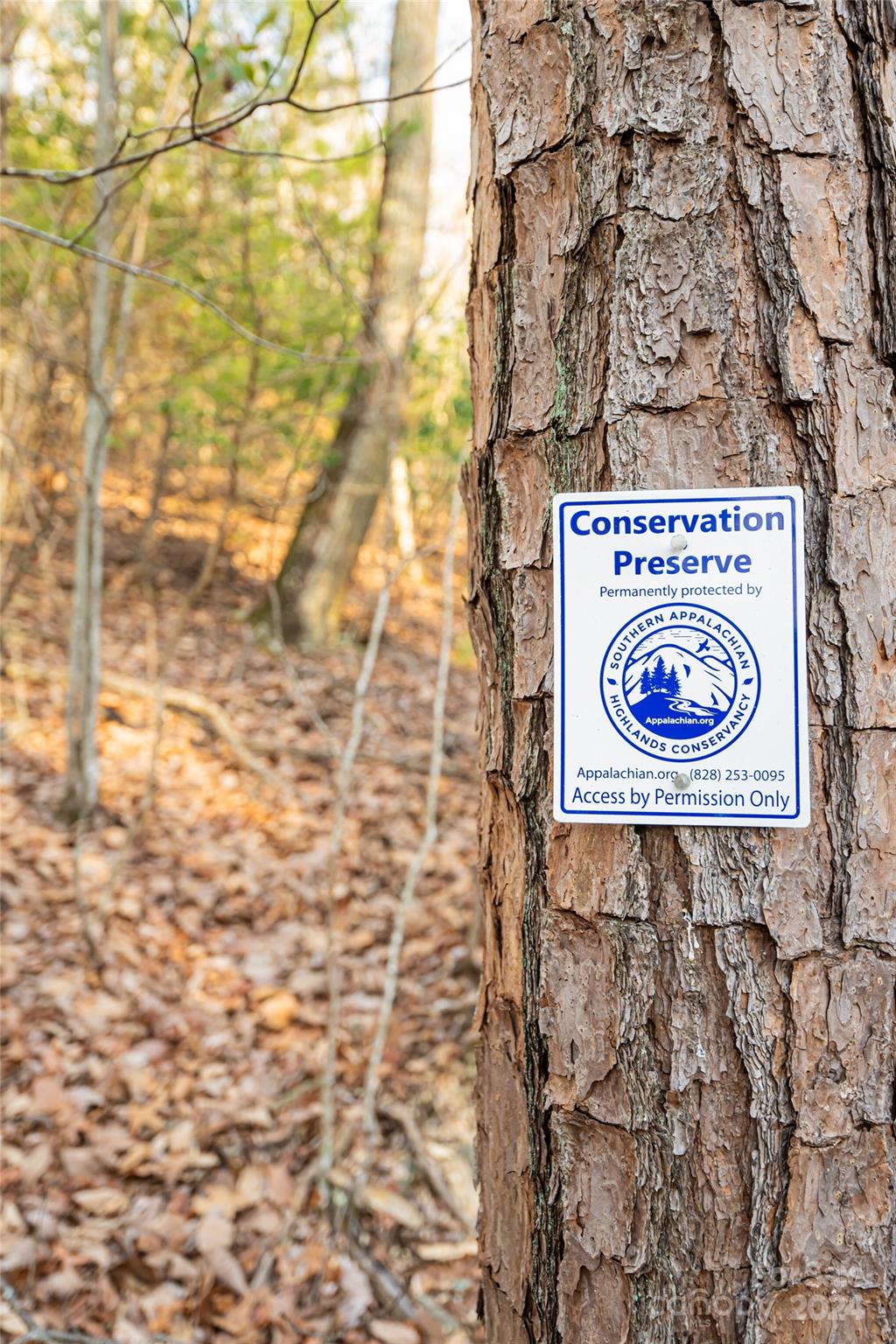 Biltmore Lake - Residential