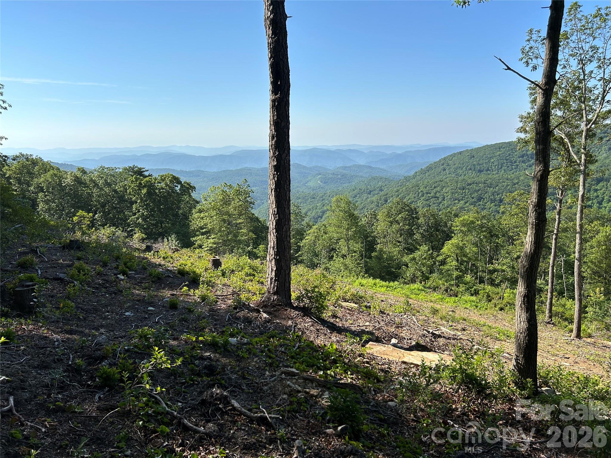 Lot 23 Bluebell Trail