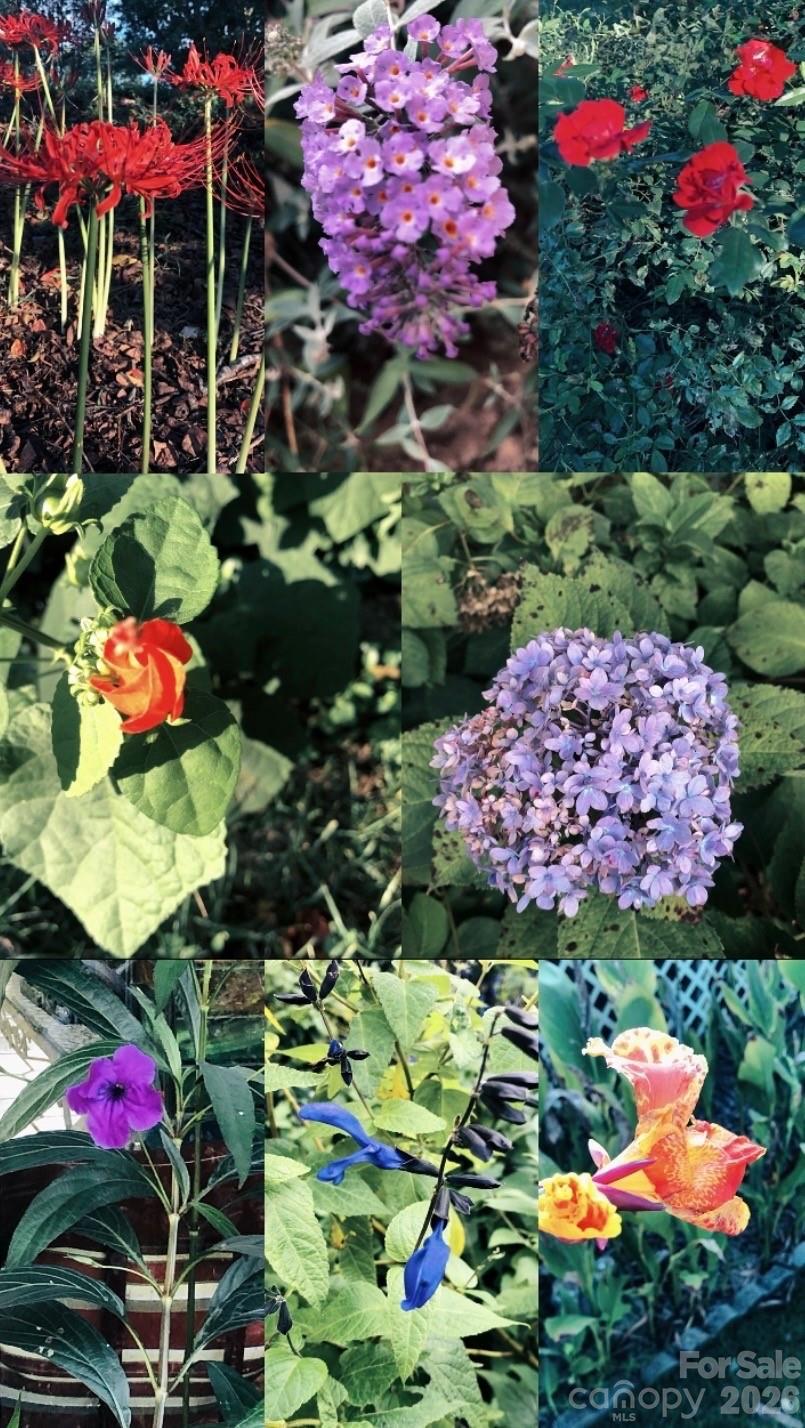 Clinestead - Residential