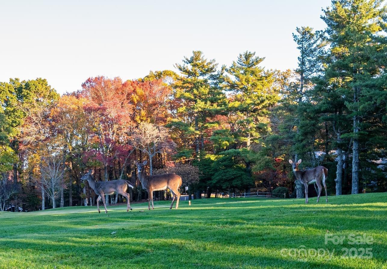 High Meadows - Residential