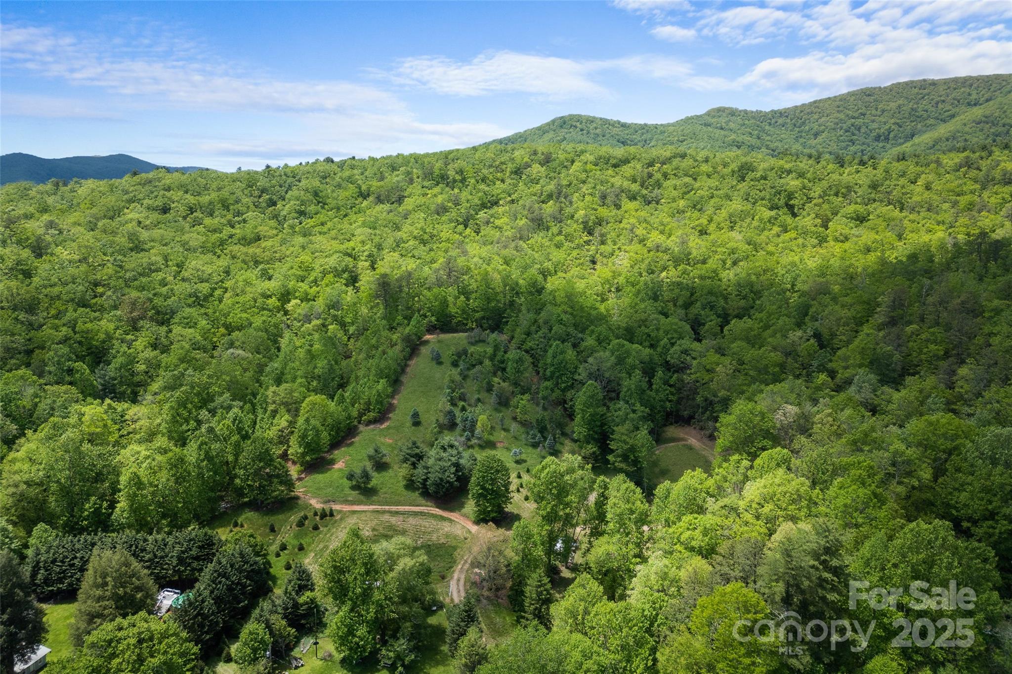 1557 Shoal Creek Road