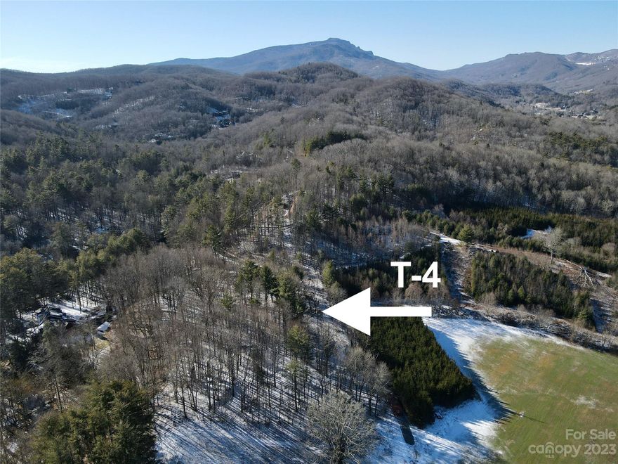 Welcome to Twin Rivers, a premier trout fishing community with neighborhood access to the Watauga River and Boone Fork Creek. Lot T-4 is a 1.22-acre build lot with flat and gentle sloping contours within this gated community. There are seasonal mountain views from the lot with a potential ridgeline view if opened up. Private well and septic are needed. This lot has an active 5-bedroom septic system good through 2029. Centrally located to Boone, Banner Elk, and Blowing Rock, this lot enjoys an ideal position. Whether for full-time living or a seasonal escape, this property offers proximity to High Country amenities: golf, tennis, skiing, hiking, horseback riding, music events, parks, and more. Lot is subject to adjoining lot septic easements and a driveway easement for adjoining lots T-3, T-5. This lot is ideal for a vacation home or full-time residence. See it today!