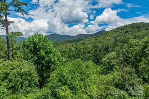 29 Grovepoint Way Asheville NC 28804