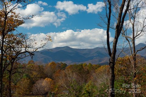 154 South Slope Lane 18 Old Fort NC 74848