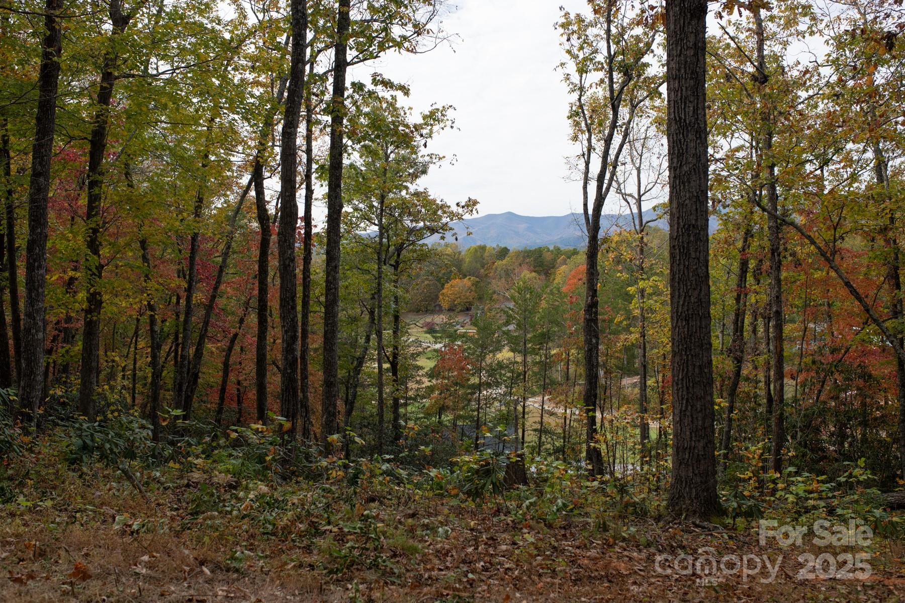 154 South Slope Lane 18