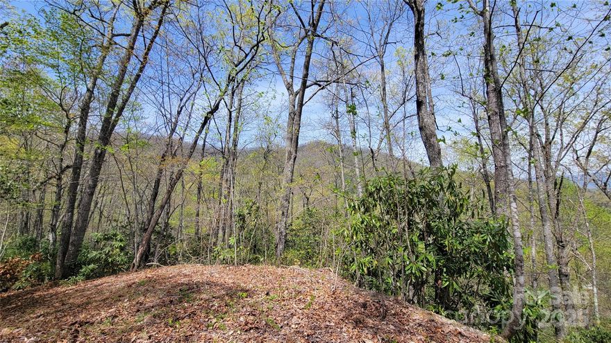 Here is your Private Mountain Retreat with Long-Range Views. This is 1 of 8 lots for sale: #24-31 totaling 24.36 acres. Create your serene Lacy Fern Community in the heart of the Blue Ridge Mountains. This 4.22 acre parcel offers a peaceful, private setting and the perfect canvas for your dream getaway. Zoned R-1 with NO HOA RESTRICTIONS, this lot is ideal for building a vacation home, adventurous cabin or tranquil, scenic multi-family retreat. Enjoy the freedom to build your vision surrounded by natural beauty. A drivable road provides easy access to all 8 lots, making this not just a standalone opportunity, but also a smart investment with options to expand. Located 8 miles from the charming towns of Sylva and Dillsboro - home to local breweries, parks, and top-tier trout fishing spots - you'll enjoy the perfect balance of privacy and convenience. Only 9 miles to Harris Regional Hospital and 11 miles to Western Carolina University, you're never far from essentials.