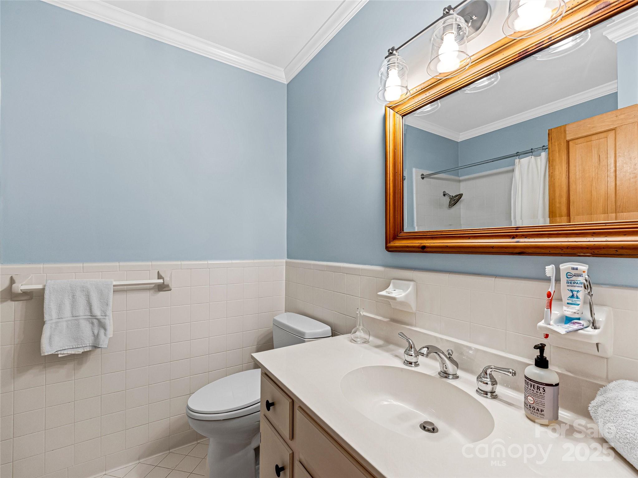 Lake Toxaway Estates - Residential