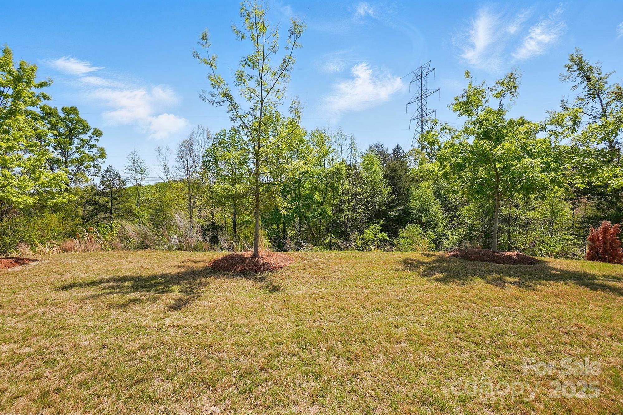 The Manors at Handsmill - Residential