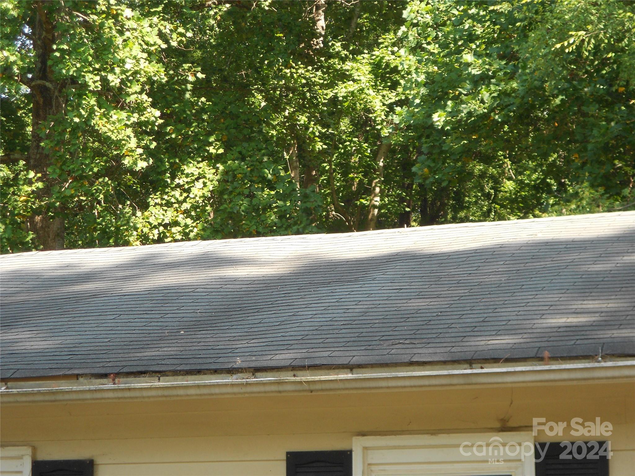 Wooded Valley - Residential