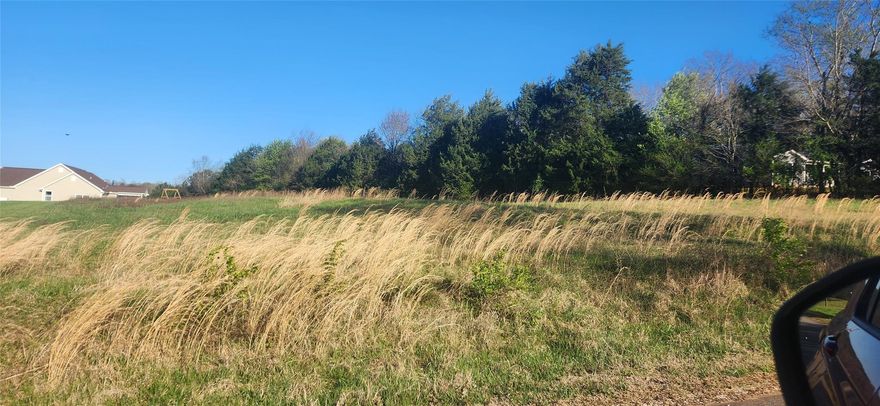 Build your dream home on this beautiful lot that is on a quiet small road just minutes to the Lincoln Charter School, and other public schools.  5 minutes to down town Lincolnton.