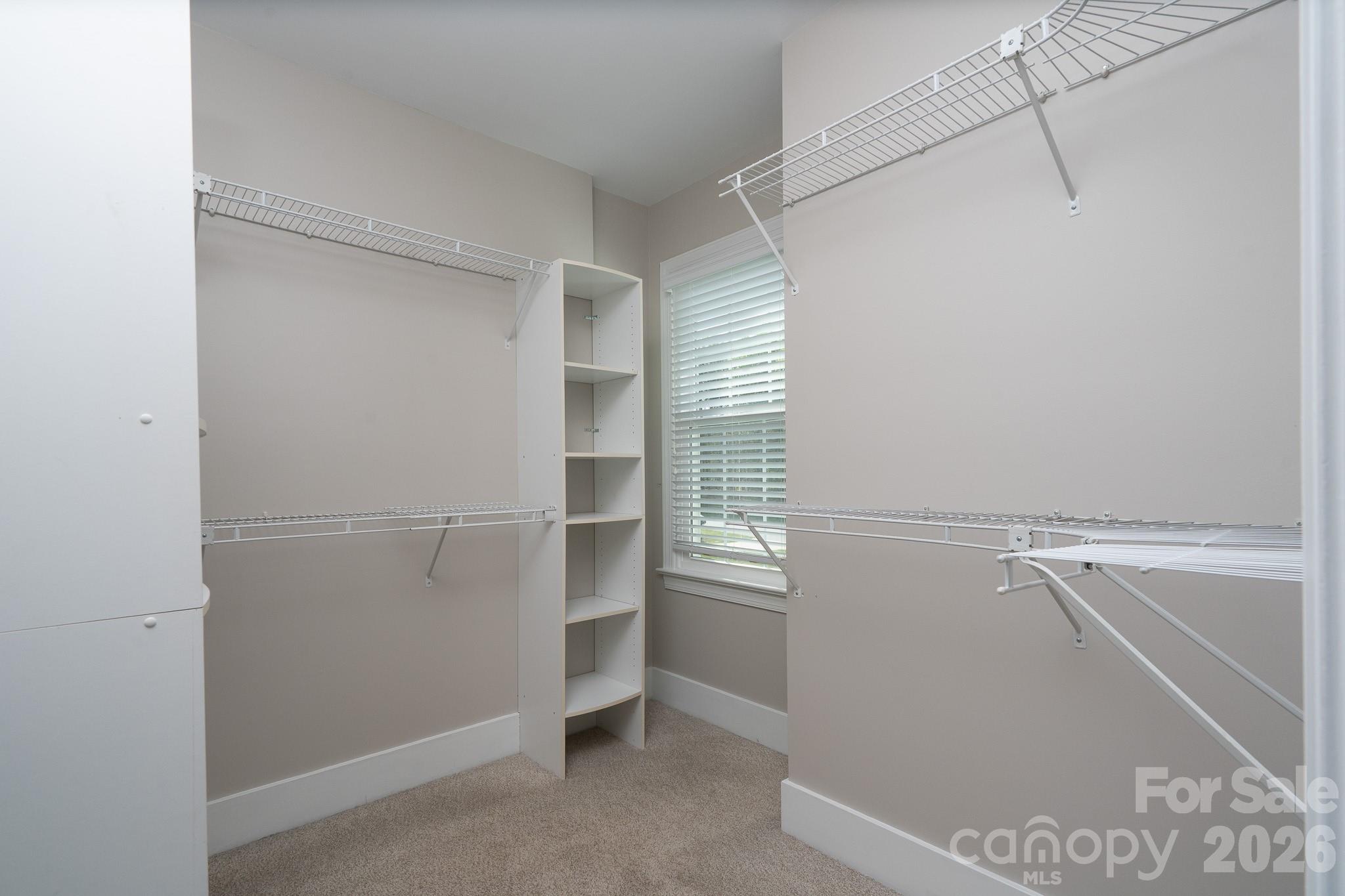 Spring Forest - Residential