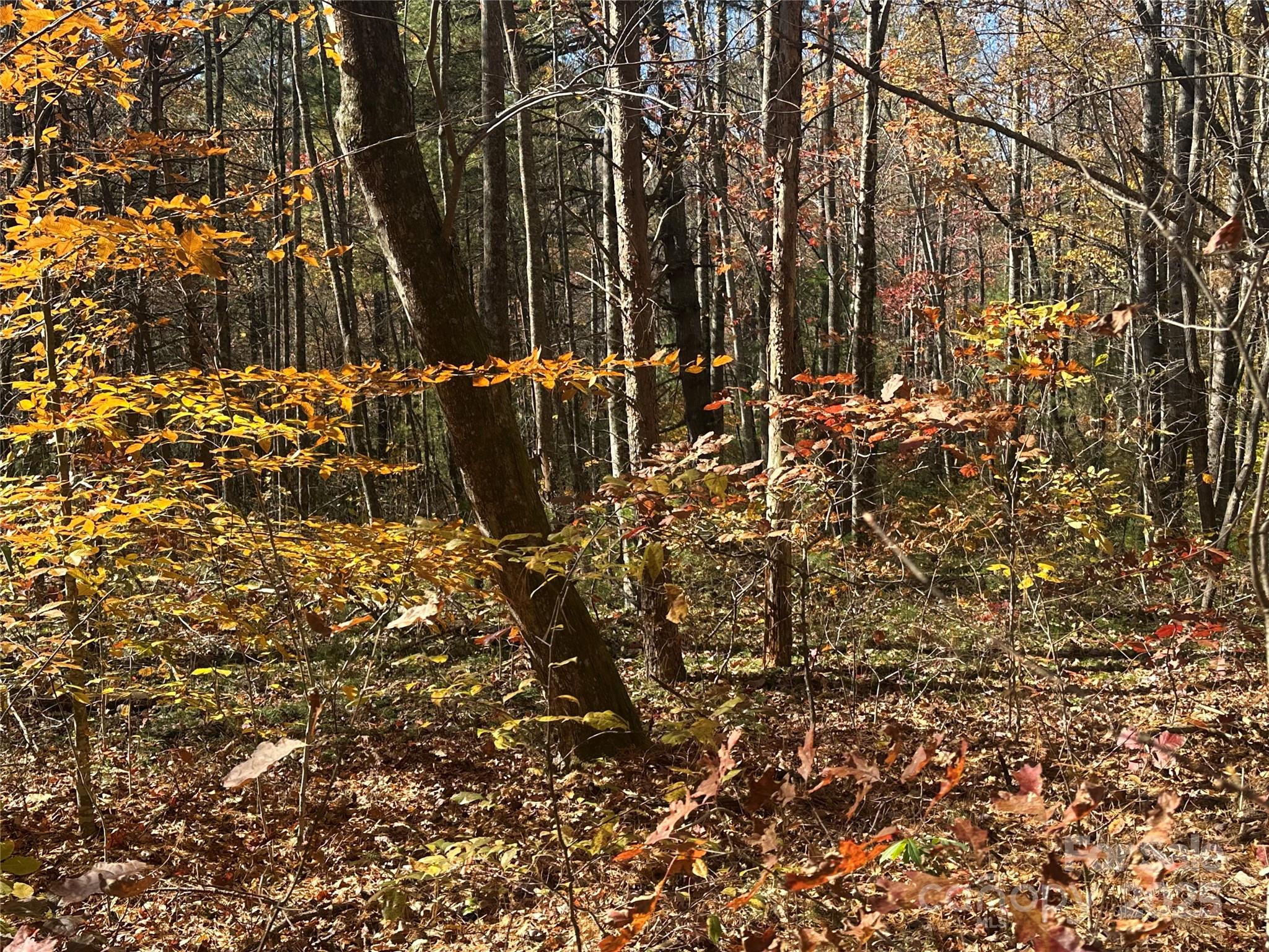 99999 Morgan Hill Road 3