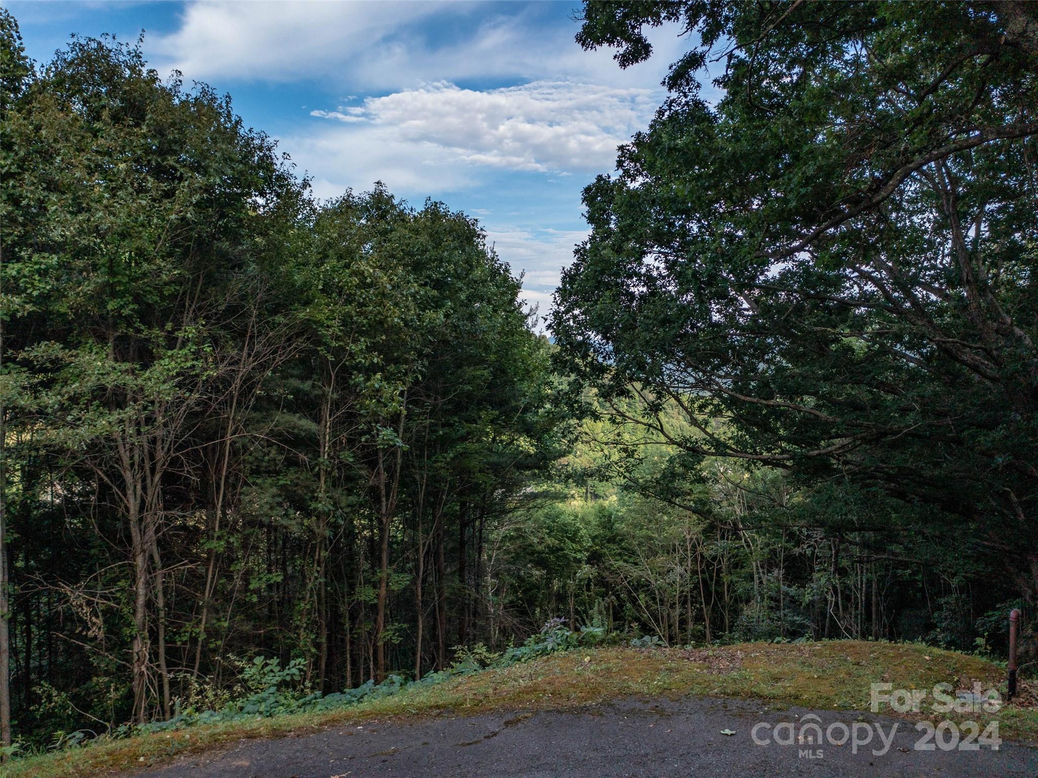 Junaluska Highlands - Land