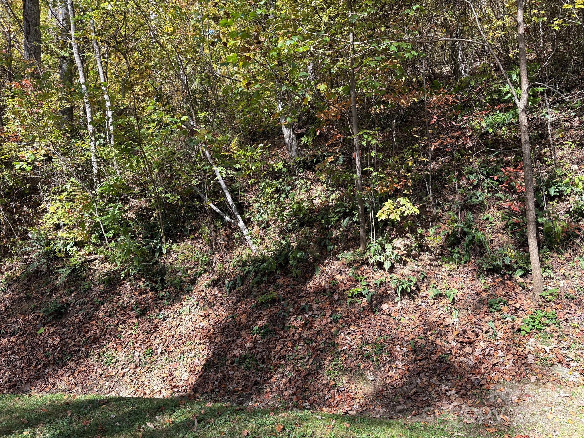 Mountain Watch - Land