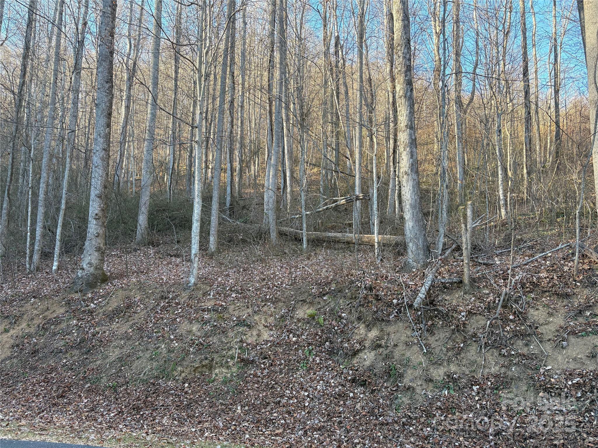 Mountain Watch - Land