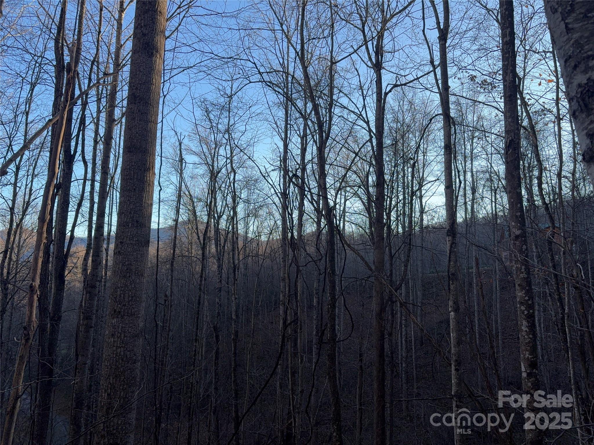 Mountain Watch - Land