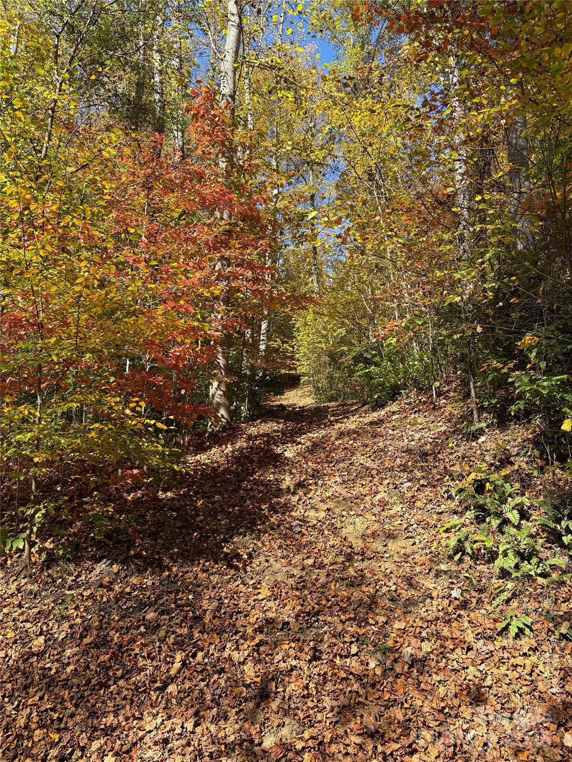 Mountain Watch - Land