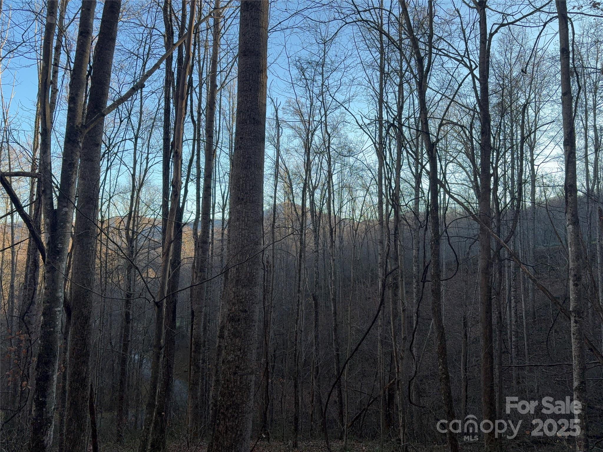 Mountain Watch - Land