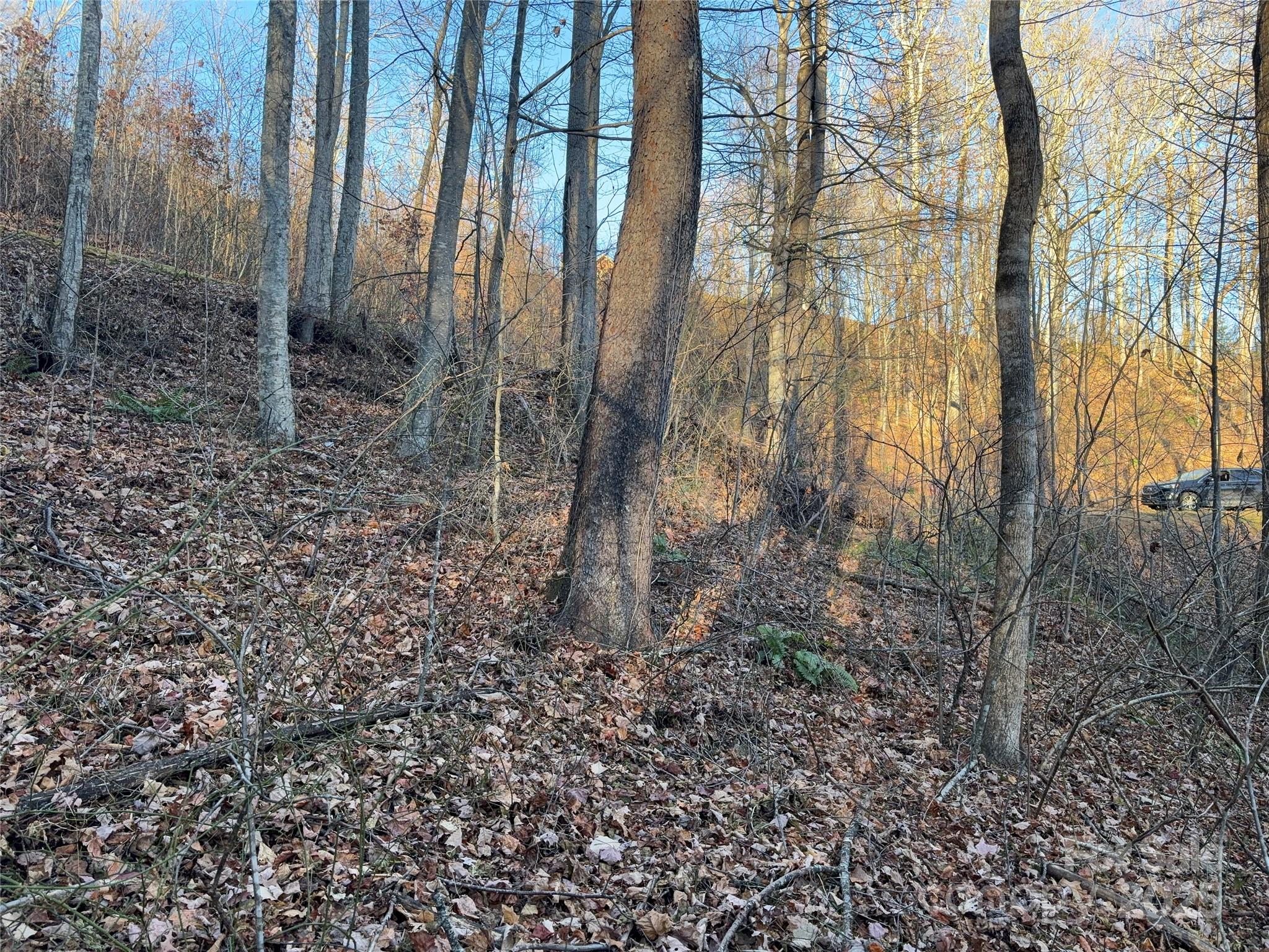 Mountain Watch - Land