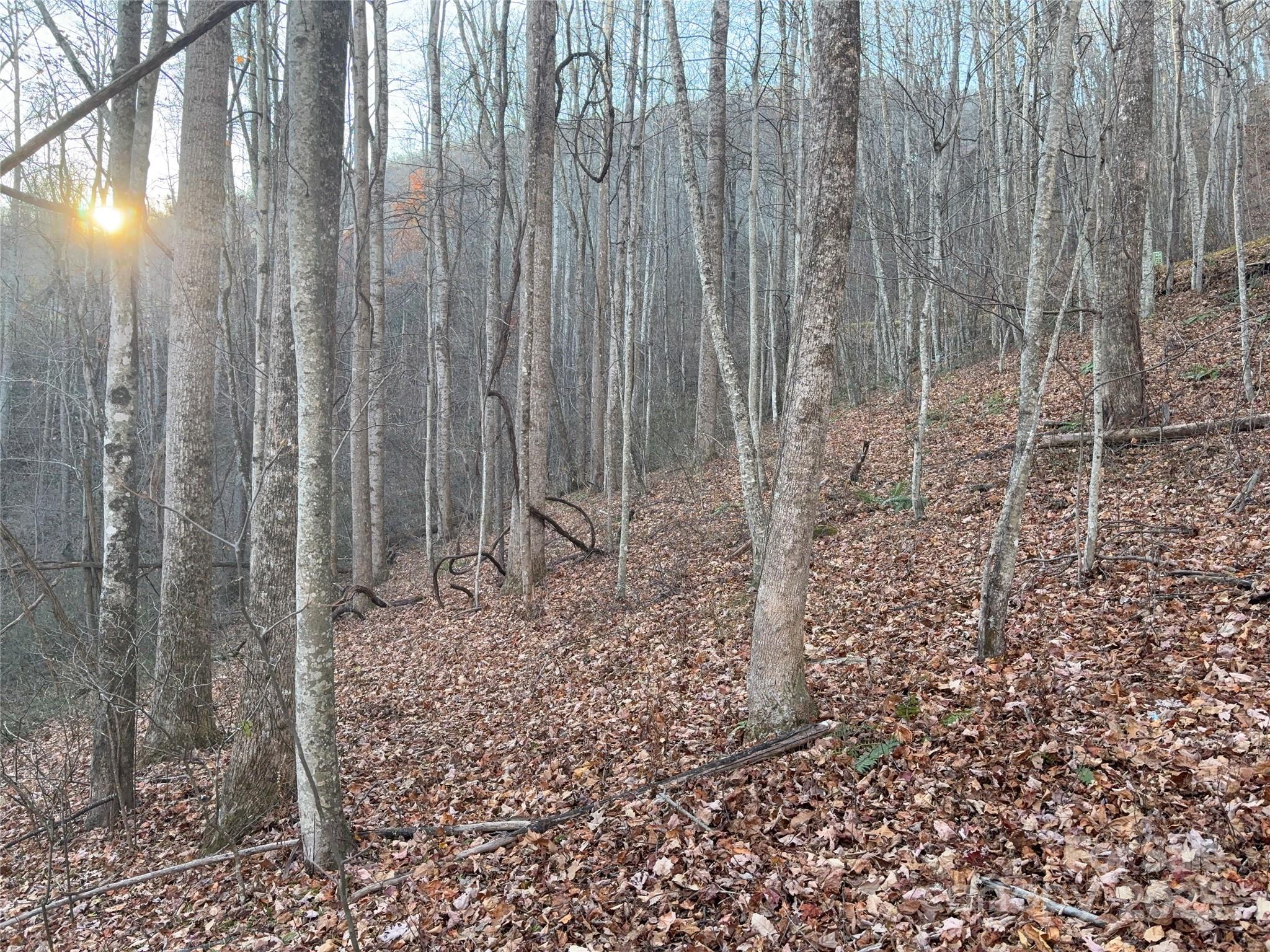 Mountain Watch - Land