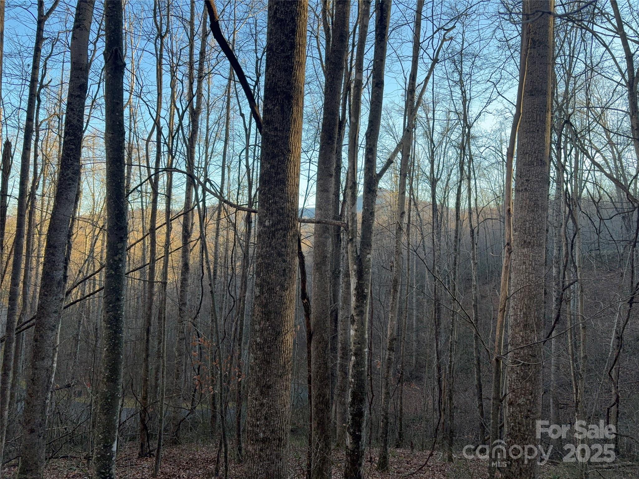 Mountain Watch - Land