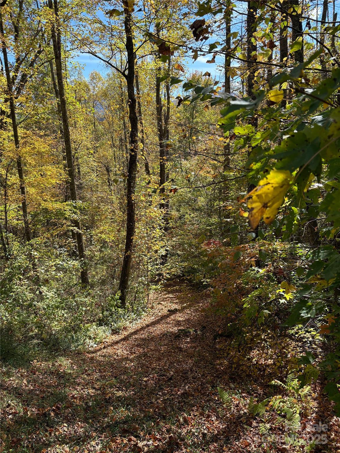Mountain Watch - Land